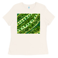 Bone St. Patrick's Day leopard tumbler Ladies Tee - Neo Western