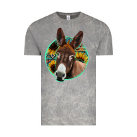 Cloud Rock aztec backsground donkey Vintage Tee - Jasminsmagicworld