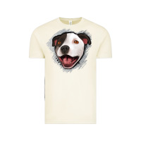 Pittbull Gray Glitter Vintage Tee | Teevron