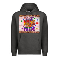 Charcoal Heather don't hide your pride tumbler Premium Hoodie - JahusDesignShop