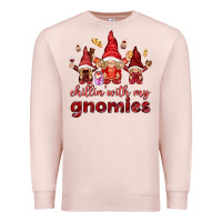 Pale Pink Chilling with my gnomies Valentine's Day Premium Sweatshirt - HowdyJamesFarm