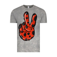 Cloud Rock Ladybug Peace Sign Vintage Tee - Jasminsmagicworld