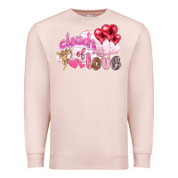 Pale Pink Clouds of love with balloons Valentine's Day Premium Sweatshirt - HowdyJamesFarm