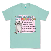 Seafoam just realized im a raccoon Classic Tee - MaliasSmallBusiness