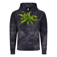Cloud Black Lemon Lime Dracaena Leaf Vintage Hoodie - LillyAllenDesigns