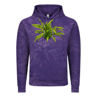 Cloud Purple Lemon Lime Dracaena Leaf Vintage Hoodie - LillyAllenDesigns