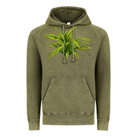 Vintage Olive Lemon Lime Dracaena Leaf Vintage Hoodie - LillyAllenDesigns