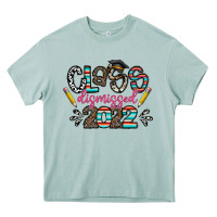 Arona class dismissed 2022 Heavy Core Tee - CowhideDigitalArt