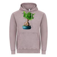 Vintage Zinc Ficus Ginsenge Vintage Hoodie - LillyAllenDesigns