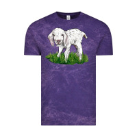 Baby Angora Goat Vintage Tee | Teevron