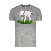 Cloud Rock Baby Angora Goat Vintage Tee - LillyAllenDesigns