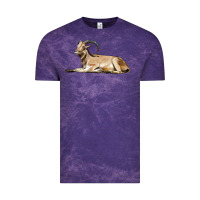 Cloud Purple Spanish Goat Vintage Tee - LillyAllenDesigns