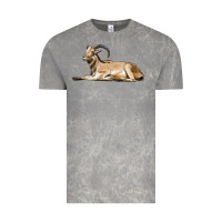 Cloud Rock Spanish Goat Vintage Tee - LillyAllenDesigns