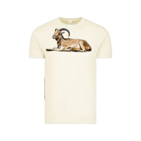 Vintage Arctic Spanish Goat Vintage Tee - LillyAllenDesigns