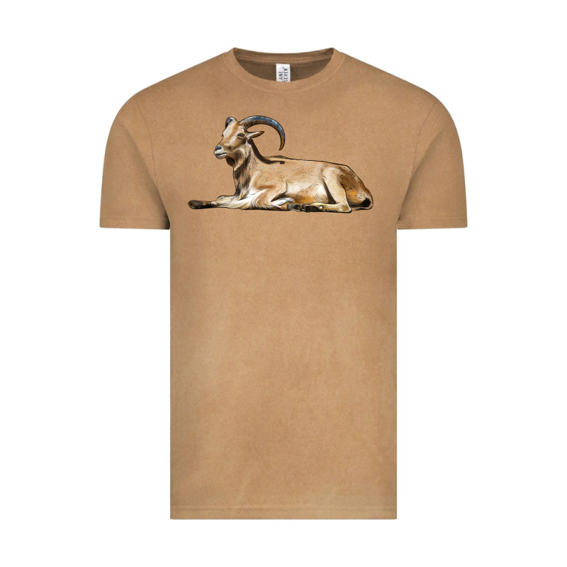 Spanish Goat Vintage Tee by LillyAllenDesigns | Teevron