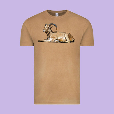 Spanish Goat Vintage Tee Designed By Lillyallendesigns