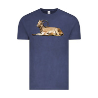 Vintage Denim Spanish Goat Vintage Tee - LillyAllenDesigns