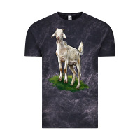 Cloud Black Kiko Goat Vintage Tee - LillyAllenDesigns