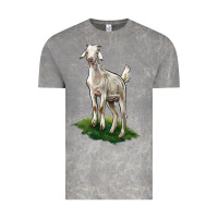Cloud Rock Kiko Goat Vintage Tee - LillyAllenDesigns