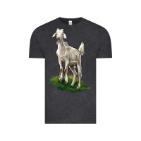 Vintage Black Kiko Goat Vintage Tee - LillyAllenDesigns