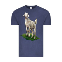 Vintage Denim Kiko Goat Vintage Tee - LillyAllenDesigns