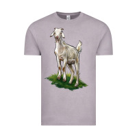 Vintage Zinc Kiko Goat Vintage Tee - LillyAllenDesigns