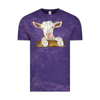 Cloud Purple baby cashmere goat Vintage Tee - LillyAllenDesigns