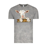 Cloud Rock baby cashmere goat Vintage Tee - LillyAllenDesigns