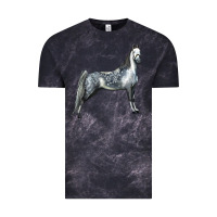 Cloud Black Tennessee Walking Horse Vintage Tee - LillyAllenDesigns