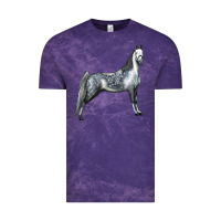 Tennessee Walking Horse Vintage Tee | Teevron