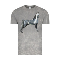 Cloud Rock Tennessee Walking Horse Vintage Tee - LillyAllenDesigns