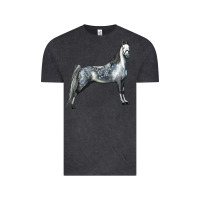 Vintage Black Tennessee Walking Horse Vintage Tee - LillyAllenDesigns
