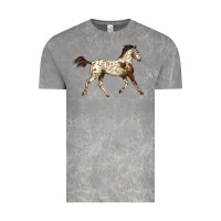 Cloud Rock Appaloosa Horse Vintage Tee - LillyAllenDesigns