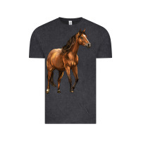 Vintage Black Quarter Horse Vintage Tee - LillyAllenDesigns