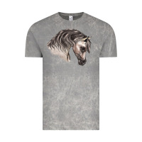 Cloud Rock Arabian Horse Vintage Tee - LillyAllenDesigns