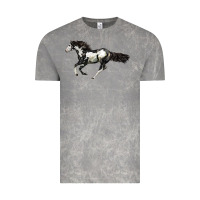 Cloud Rock American Paint Horse Vintage Tee - LillyAllenDesigns