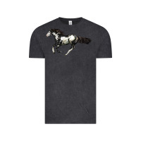 Vintage Black American Paint Horse Vintage Tee - LillyAllenDesigns