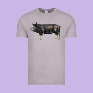 Berkshire Pig Vintage Tee Designed By Lillyallendesigns