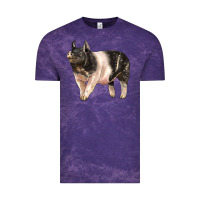 Cloud Purple hampshire pig Vintage Tee - LillyAllenDesigns