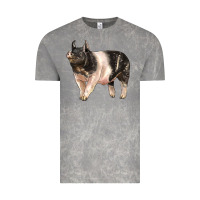 Cloud Rock hampshire pig Vintage Tee - LillyAllenDesigns