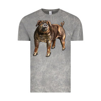 Cloud Rock Duroc Pig Vintage Tee - LillyAllenDesigns