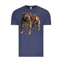 Vintage Denim Duroc Pig Vintage Tee - LillyAllenDesigns