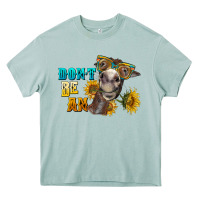 Arona don't be an ass donkey Heavy Core Tee - BarkalooDesign