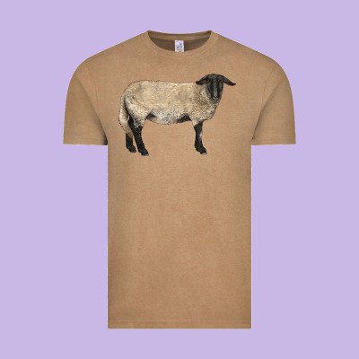 Suffolk Sheep Vintage Tee Designed By Lillyallendesigns