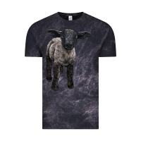 Cloud Black suffolk baby sheep Vintage Tee - LillyAllenDesigns