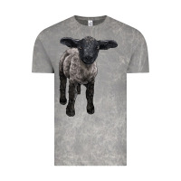 Cloud Rock suffolk baby sheep Vintage Tee - LillyAllenDesigns