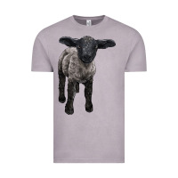 Suffolk Baby Sheep Vintage Tee | Teevron