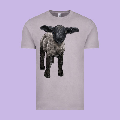 Suffolk Baby Sheep Vintage Tee Designed By Lillyallendesigns