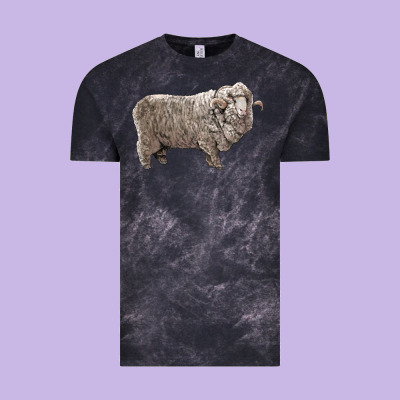 Rambouillet Sheep Vintage Tee Designed By Lillyallendesigns