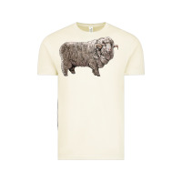 Vintage Arctic rambouillet sheep Vintage Tee - LillyAllenDesigns